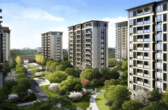 、业从大会：指由