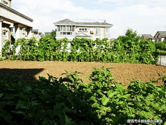 <strong>如平易近族歌舞表</strong>